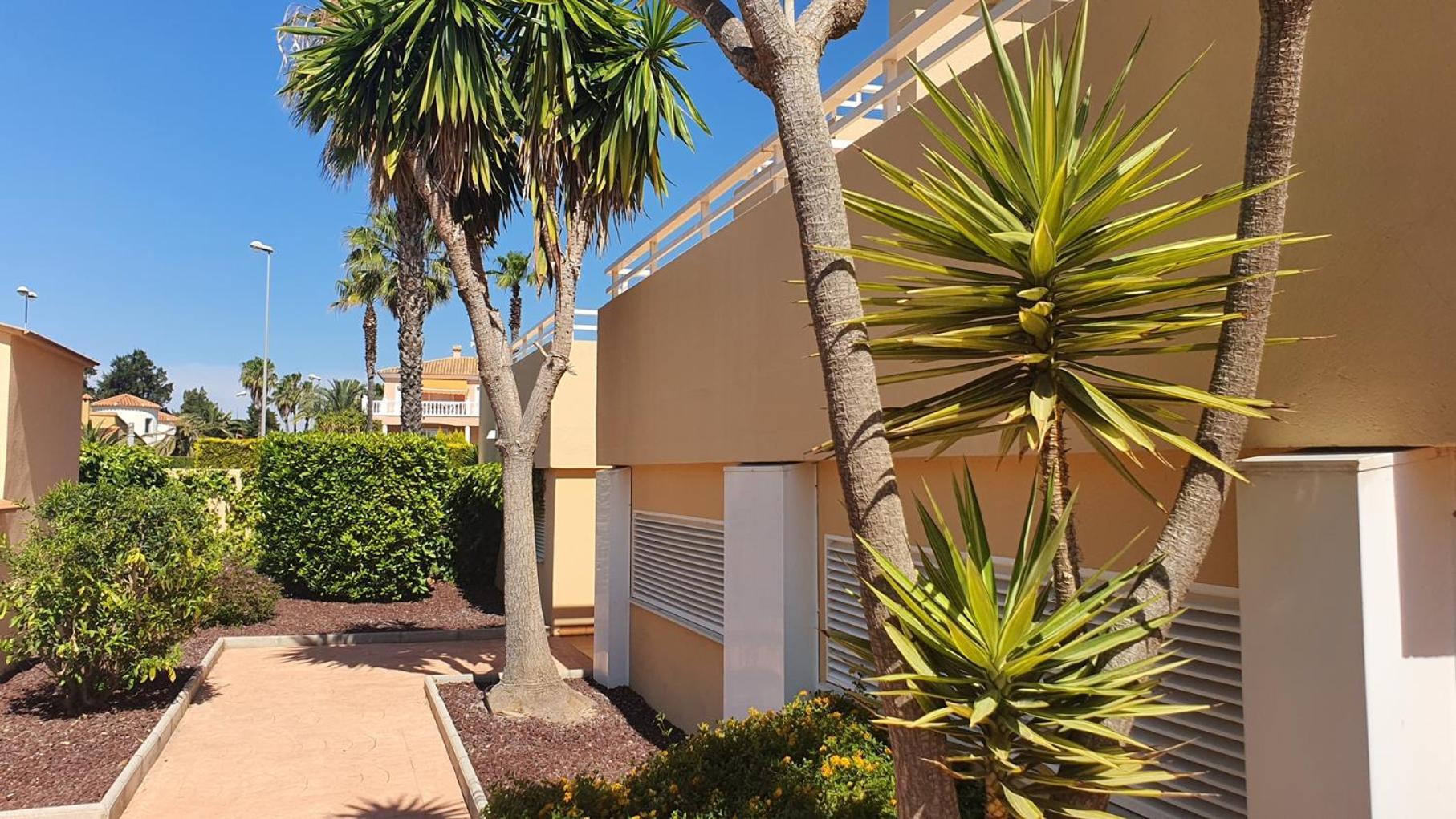 Apartamentos Par Tres - Oliva Nova Dış mekan fotoğraf