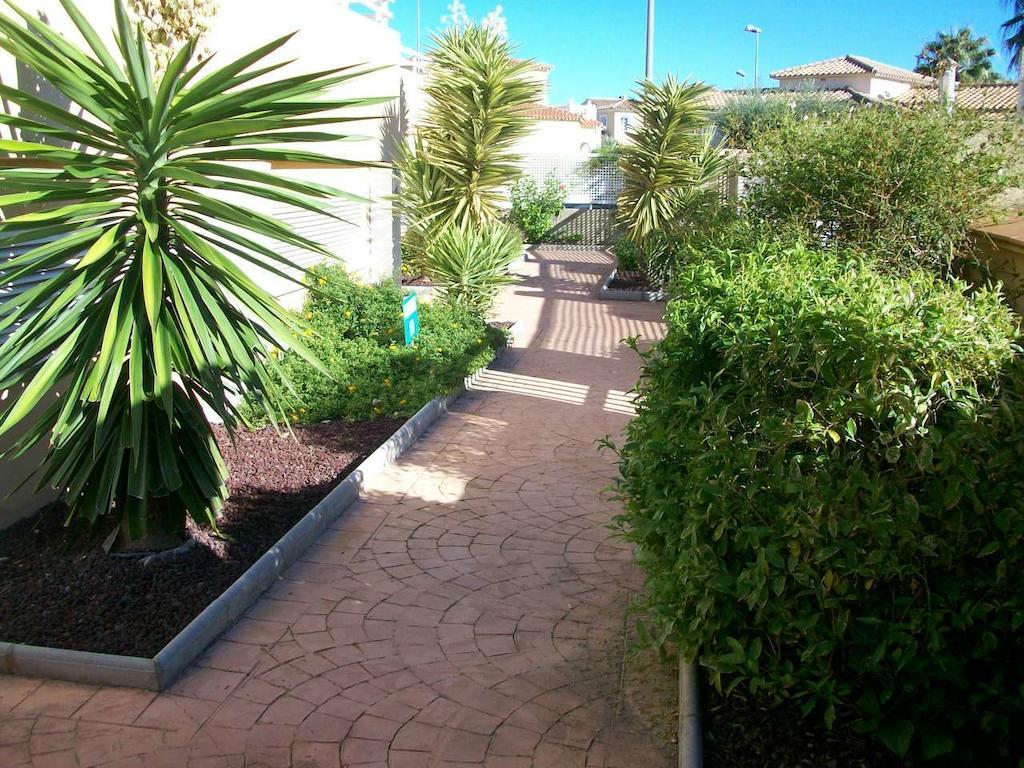 Apartamentos Par Tres - Oliva Nova Oda fotoğraf